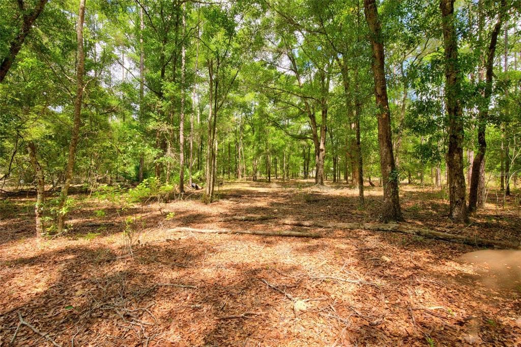 3450 NE 48TH AVENUE, HIGH SPRINGS, FL 32643 — zdjęcie 4