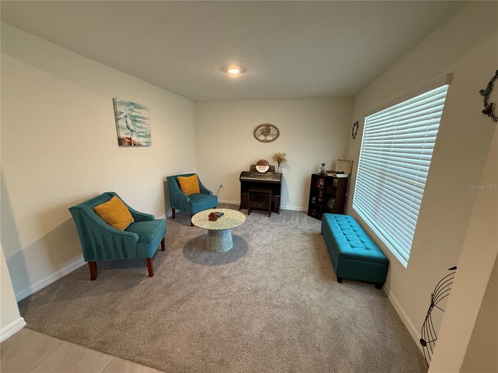 4120 SILVER STRAND TRAIL, PALMETTO, FL 34221 — zdjęcie 4