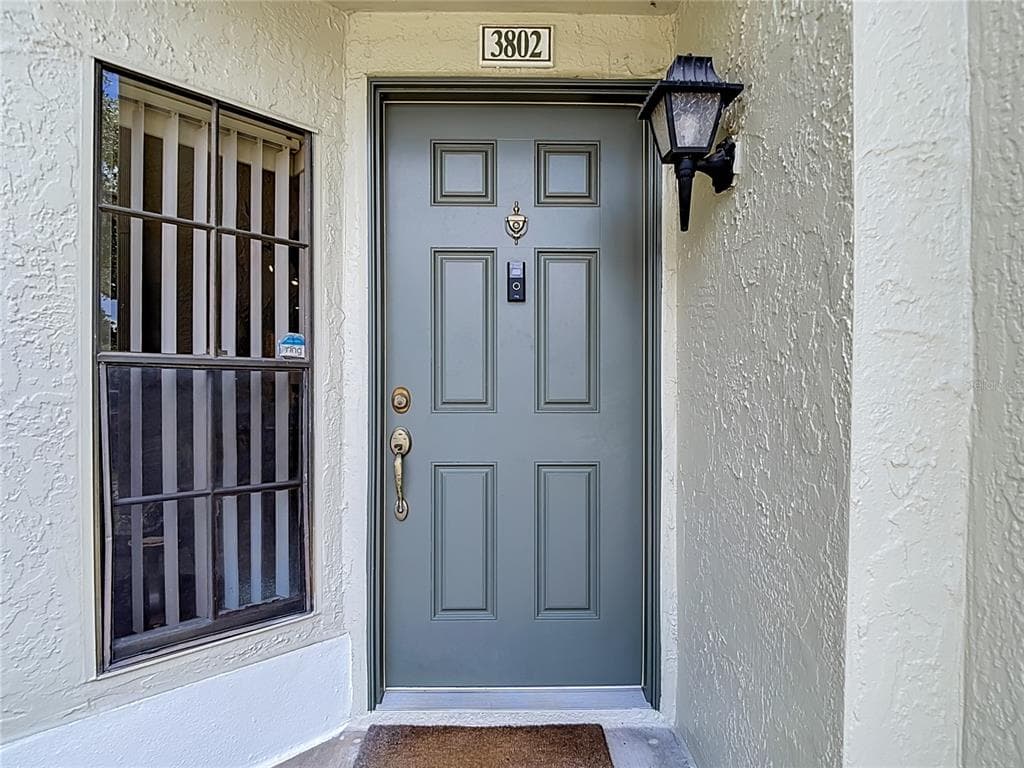 5100 BURCHETTE ROAD # 3802, TAMPA, FL 33647 — zdjęcie 5
