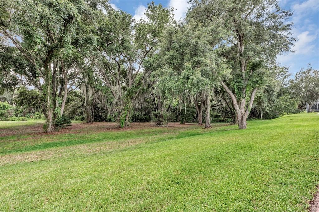 4436 ANTIETAM CREEK TRAIL, LEESBURG, FL 34748 — zdjęcie 3