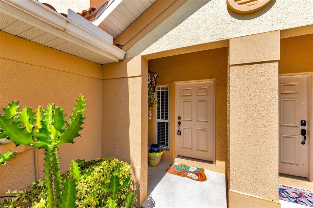 1421 RIDGE TERRACE, TARPON SPRINGS, FL 34689 — zdjęcie 3