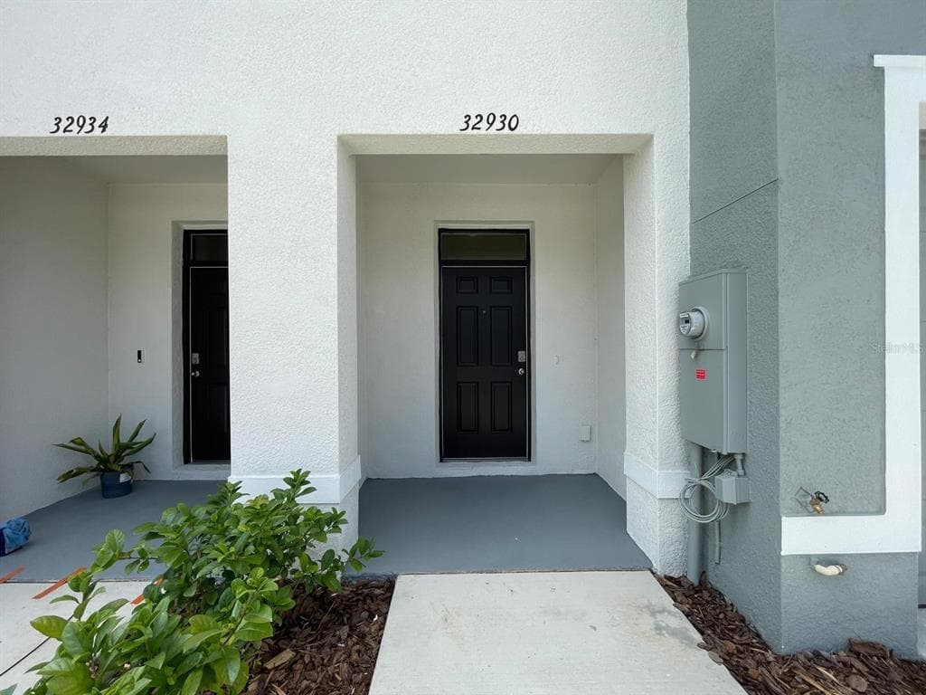 32930 REGENT CANAL STREET, WESLEY CHAPEL, FL 33545 — zdjęcie 2