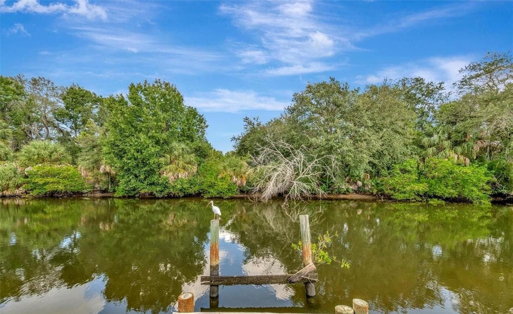 236 N SAINT THOMAS CIRCLE, APOLLO BEACH, FL 33572