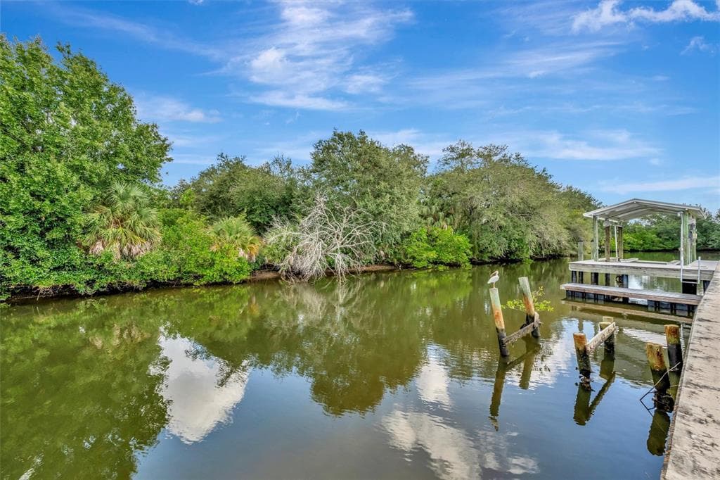 236 N SAINT THOMAS CIRCLE, APOLLO BEACH, FL 33572 — zdjęcie 4