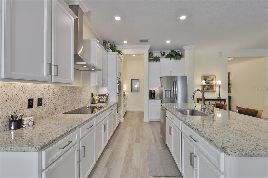 16955 SCUBA CREST STREET, WIMAUMA, FL 33598 — zdjęcie 4