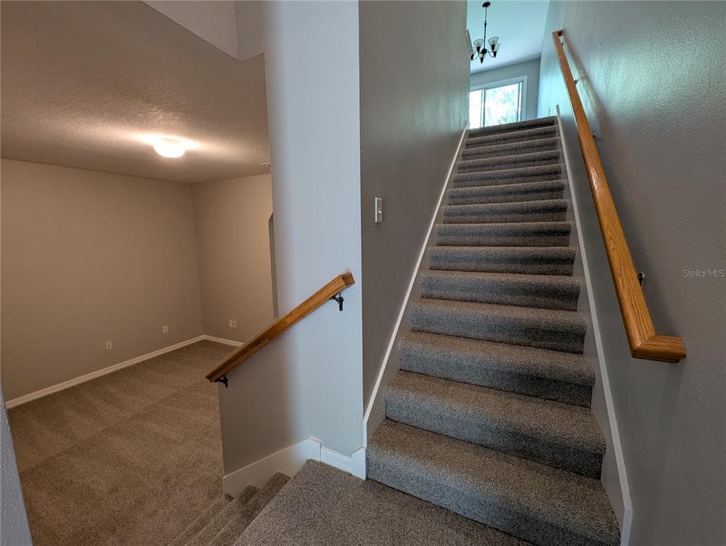 8319 KING BLOSSOM COURT, TAMPA, FL 33615 — zdjęcie 5