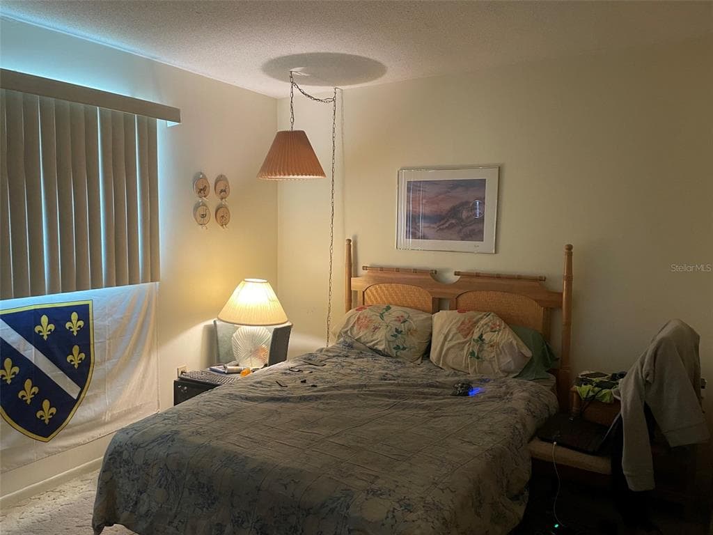 5287 81ST STREET N # 12, ST PETERSBURG, FL 33709 — zdjęcie 5