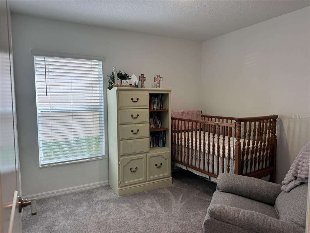 12218 RADIANT GEM TRAIL, PARRISH, FL 34219 — zdjęcie 5