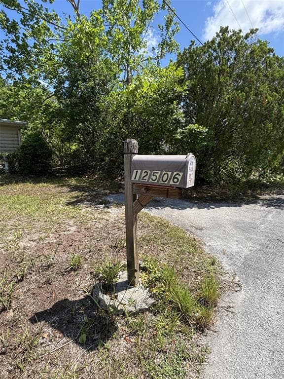12506 WALTON AVENUE, NEW PORT RICHEY, FL 34654 — zdjęcie 2