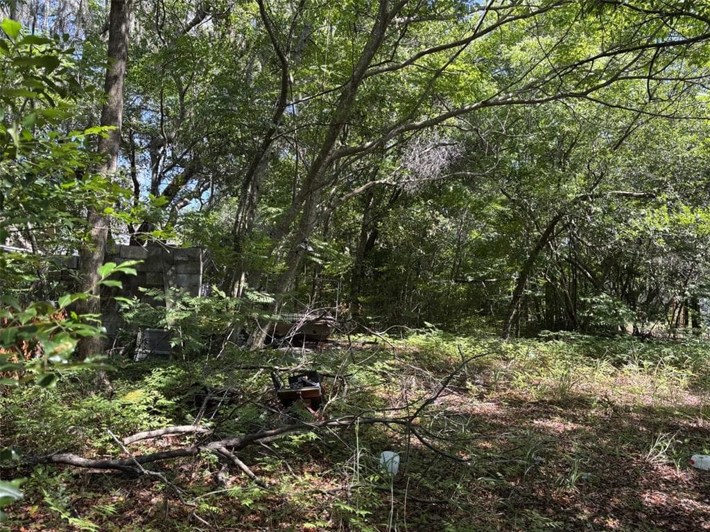 12506 WALTON AVENUE, NEW PORT RICHEY, FL 34654 — zdjęcie 4