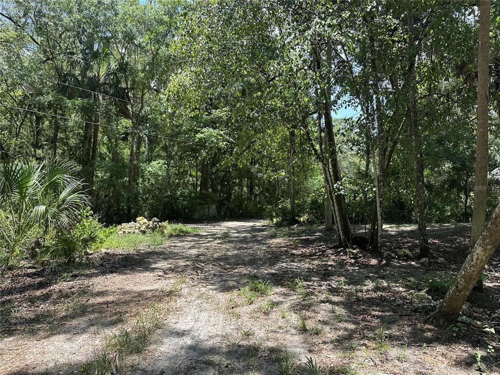 292 S DEW PLANT POINT, CRYSTAL RIVER, FL 34429 — zdjęcie 4