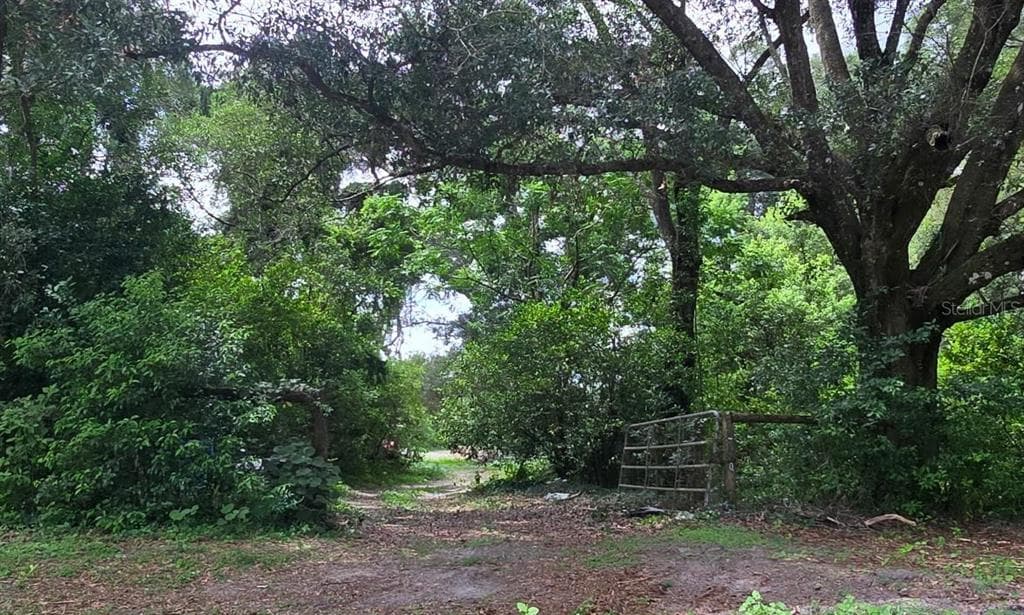 21320 SENECA HILLS ROAD, EUSTIS, FL 32736