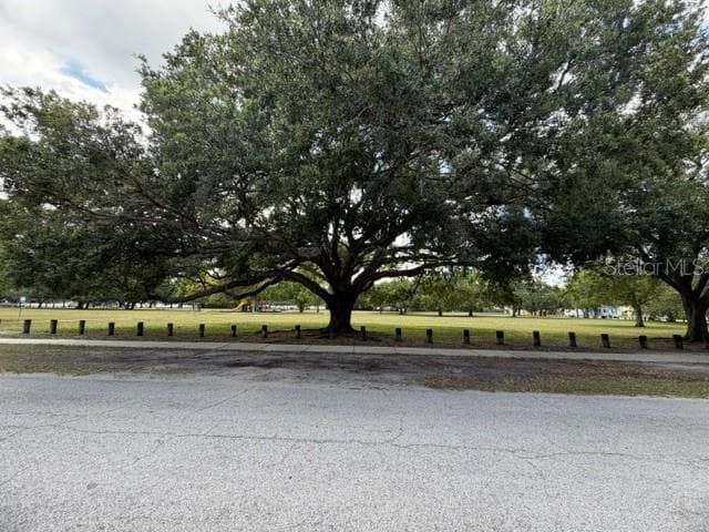 1006 W ADALEE STREET, TAMPA, FL 33603 — zdjęcie 3