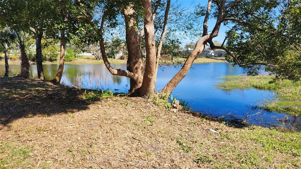 8531 PORT SAID STREET, ORLANDO, FL 32817 — zdjęcie 2