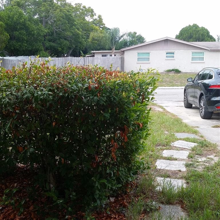 7725 ROTTINGHAM ROAD, PORT RICHEY, FL 34668 — zdjęcie 3