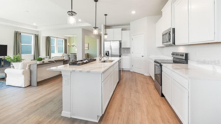 10425 WOODLAND GARDEN WAY, PARRISH, FL 34219 — zdjęcie 5