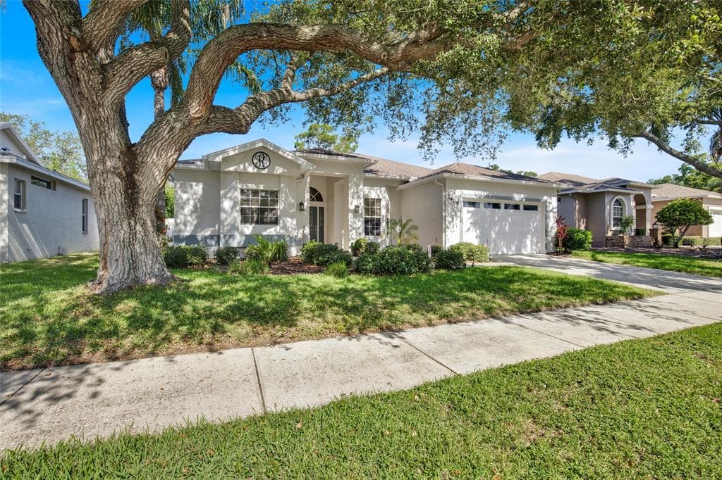 2409 DANA DRIVE, SAFETY HARBOR, FL 34695 — zdjęcie 2
