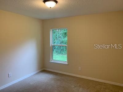 1295 12TH STREET, ORANGE CITY, FL 32763 — zdjęcie 4