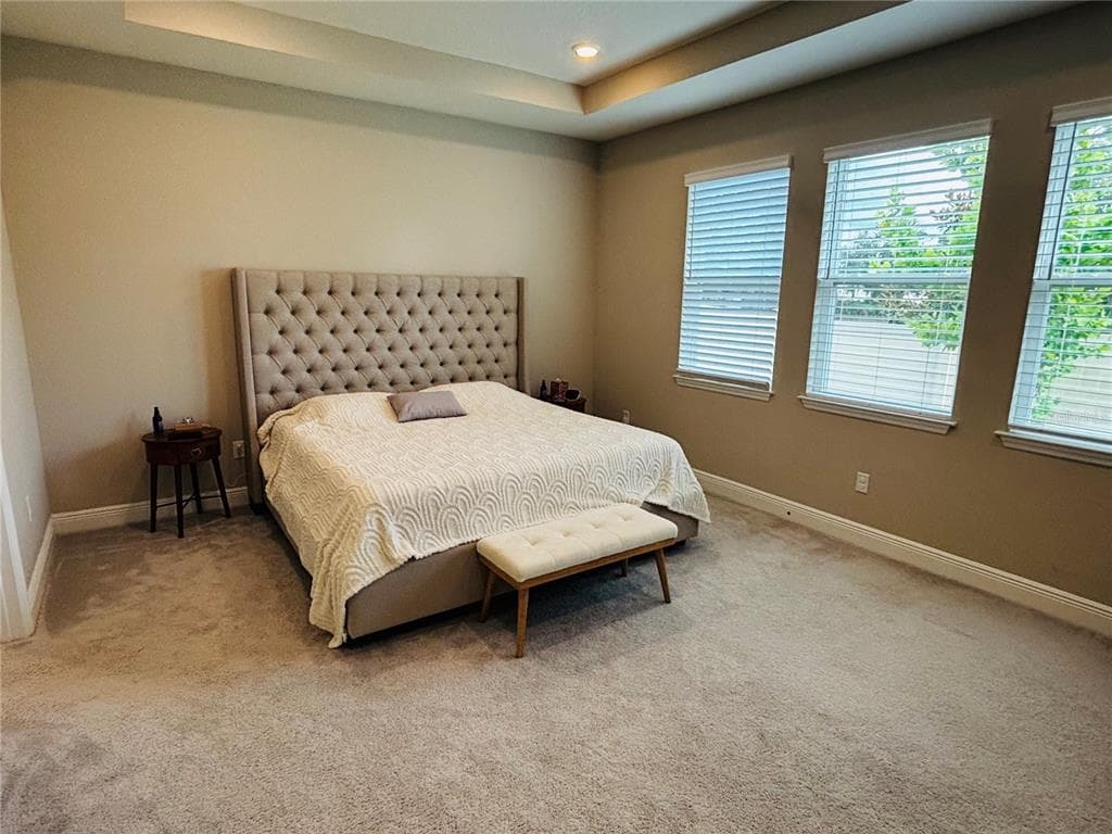23302 SCAGLIONE DRIVE, LUTZ, FL 33549 — zdjęcie 2