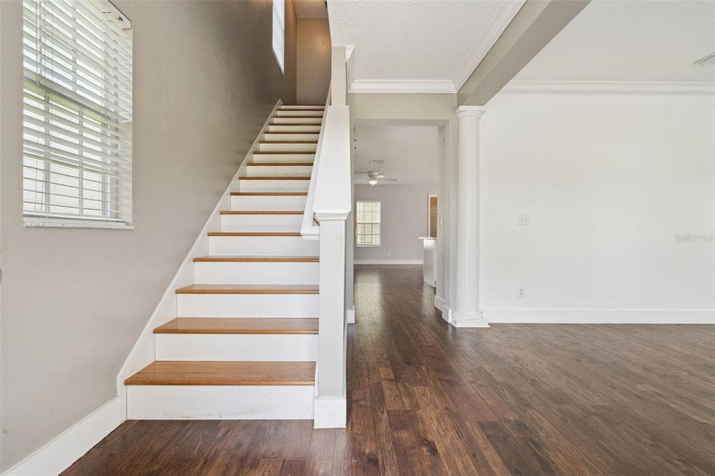 1102 GOLDENASTER COURT, CELEBRATION, FL 34747 — zdjęcie 4
