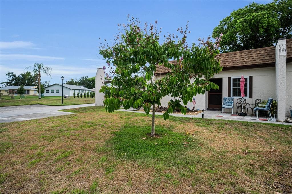 3097 MISSION GROVE DRIVE, PALM HARBOR, FL 34684 — zdjęcie 3