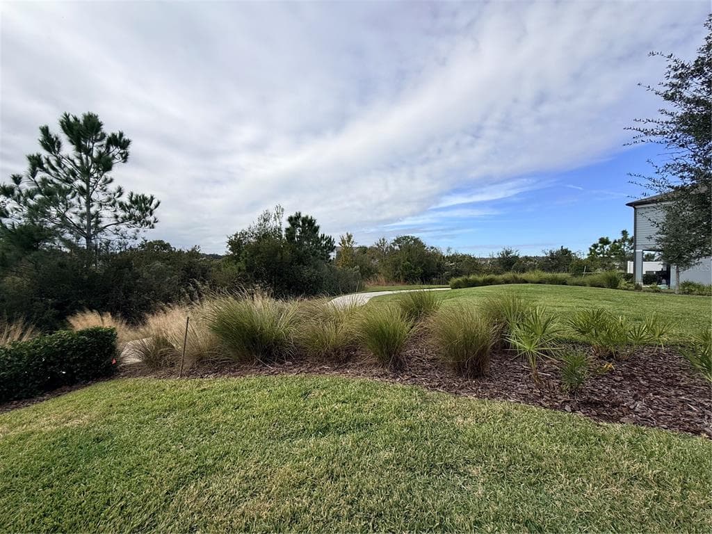 5443 ELMVIEW CROSSING, WESLEY CHAPEL, FL 33545 — zdjęcie 5