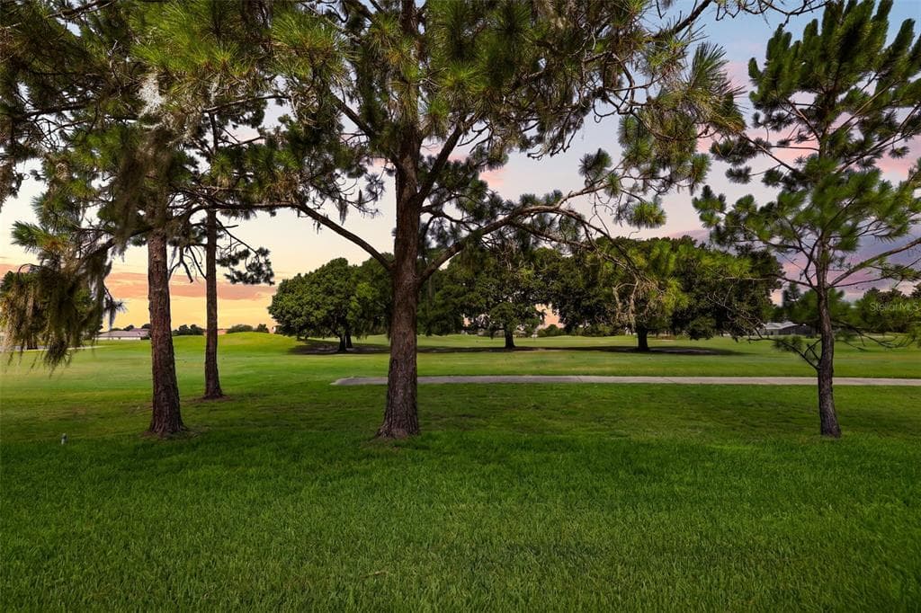 29925 CYPRESS POINTE, TAVARES, FL 32778 — zdjęcie 4