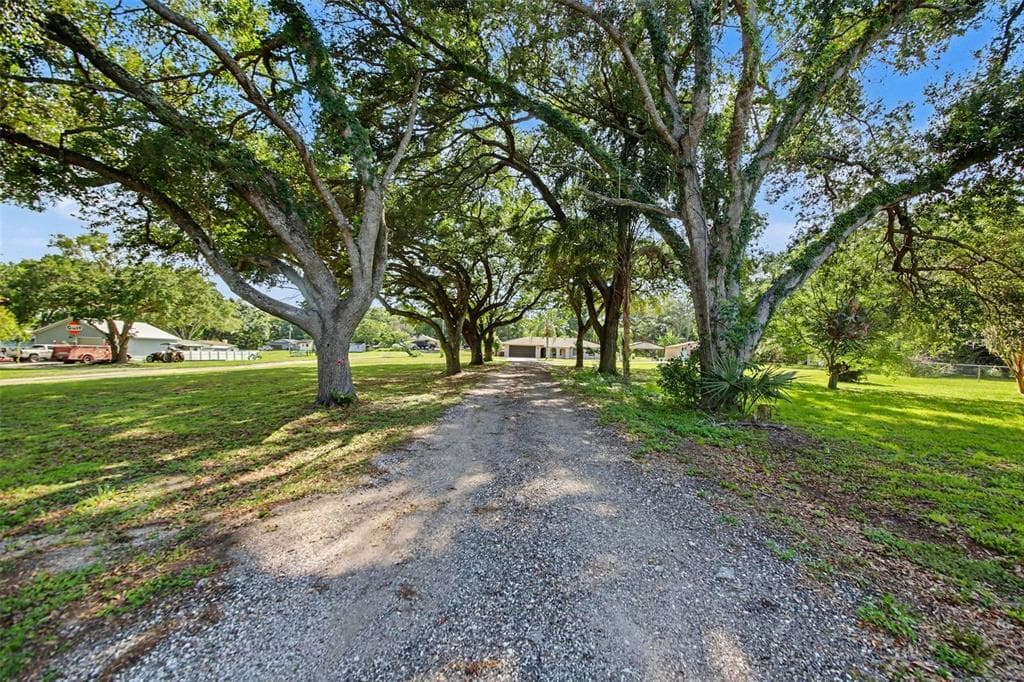 10073 LAKE MEADOW ROAD, APOPKA, FL 32703 — zdjęcie 3