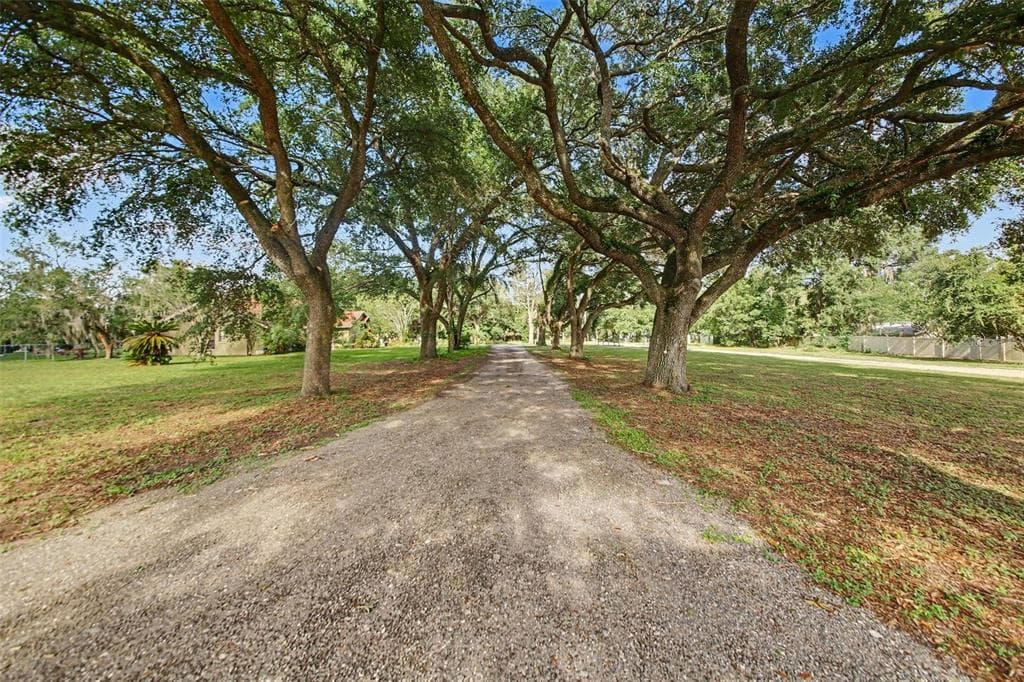 10073 LAKE MEADOW ROAD, APOPKA, FL 32703 — zdjęcie 4