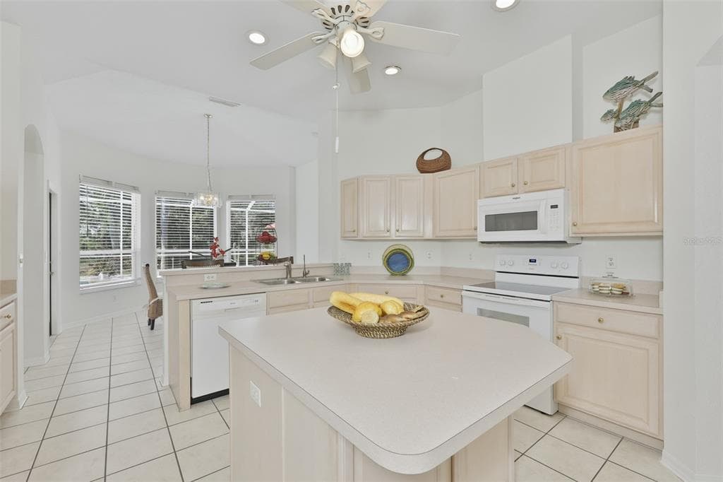 2224 PLATINUM DRIVE, SUN CITY CENTER, FL 33573 — zdjęcie 4