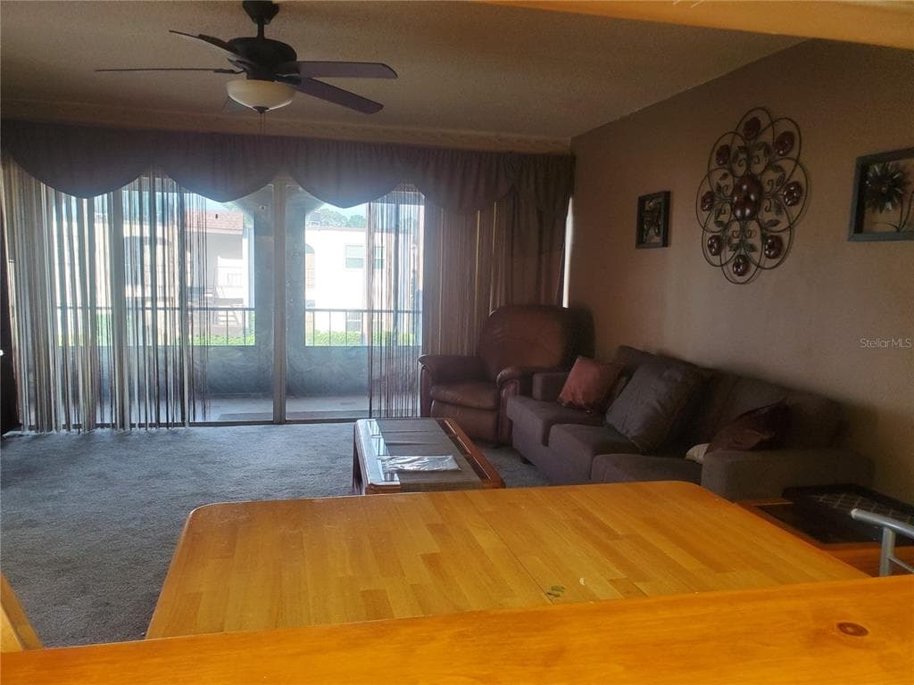 7701 STARKEY ROAD # 316, SEMINOLE, FL 33777 — zdjęcie 4