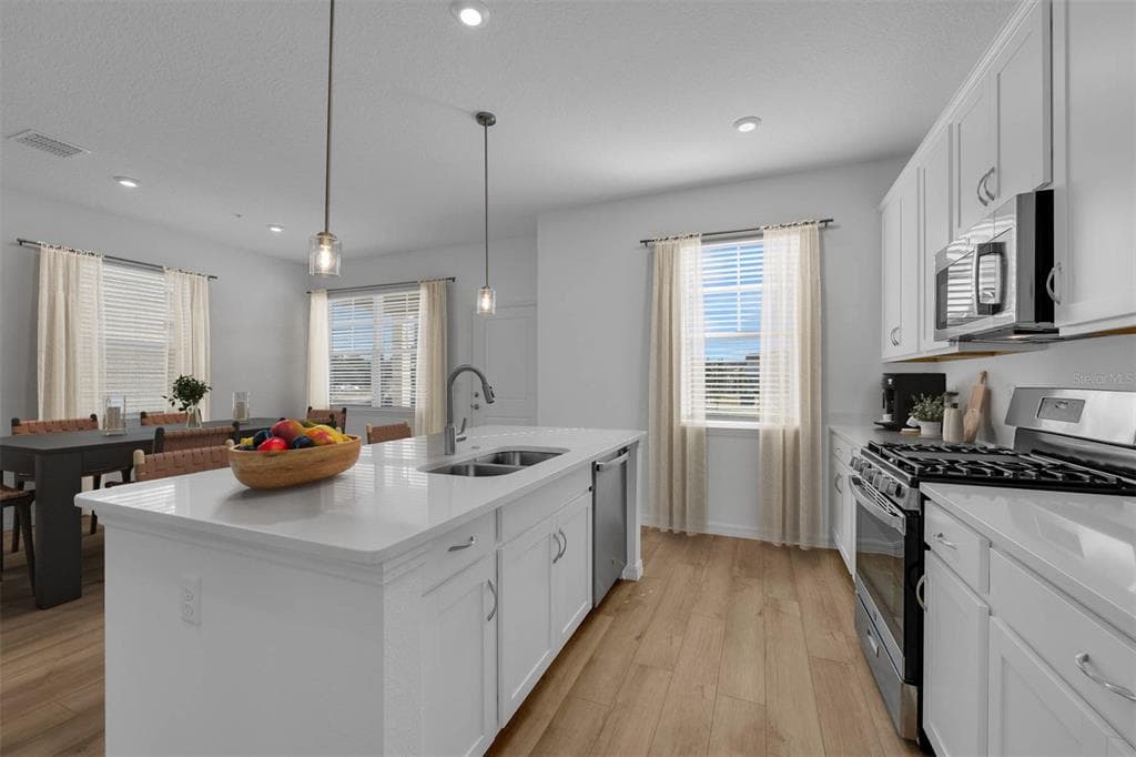 33212 CONTENTMENT WAY, WESLEY CHAPEL, FL 33543 — zdjęcie 2