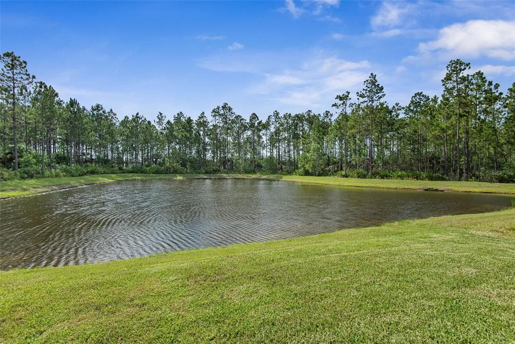 1303 RIBBON PLACE, PALM COAST, FL 32164 — zdjęcie 2