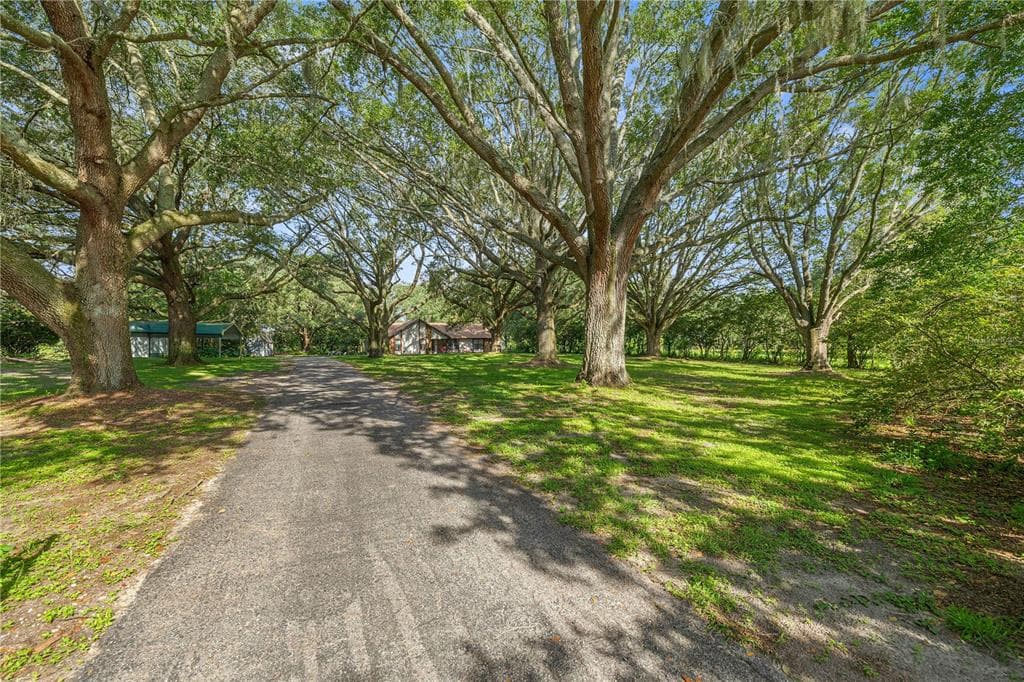 16250 SW 20TH AVENUE ROAD, OCALA, FL 34473 — zdjęcie 4
