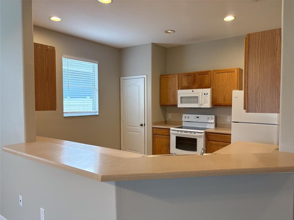 3922 WASHBURN PLACE, WESLEY CHAPEL, FL 33543 — zdjęcie 4
