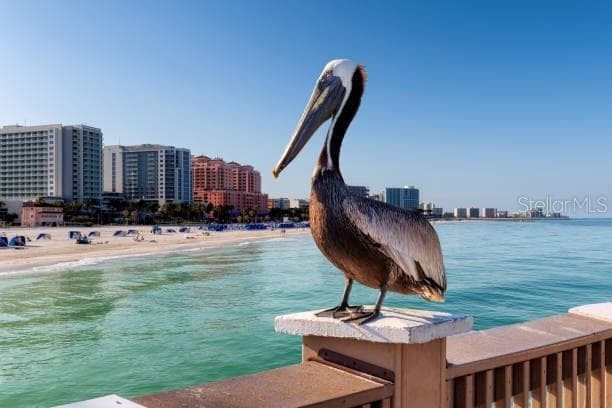 2947 S ATLANTIC AVENUE # 1706, DAYTONA BEACH, FL 32118 — zdjęcie 2