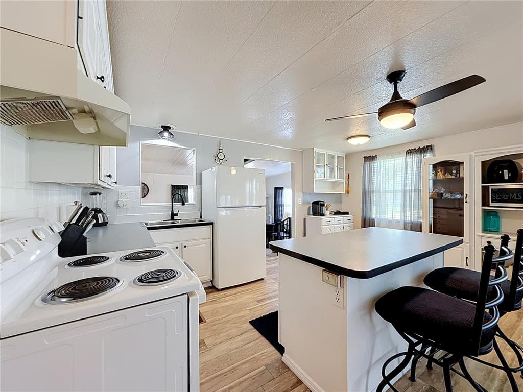 1025 CAPELLA DRIVE, TAVARES, FL 32778 — zdjęcie 3