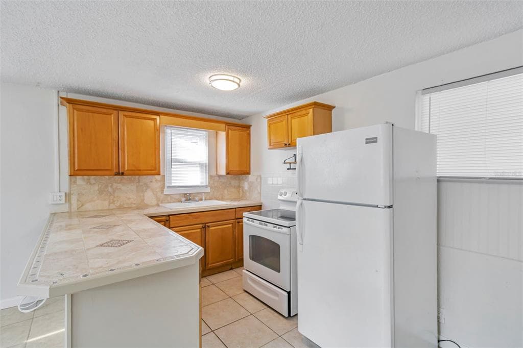 809 ILLINOIS AVENUE, PALM HARBOR, FL 34683 — zdjęcie 4