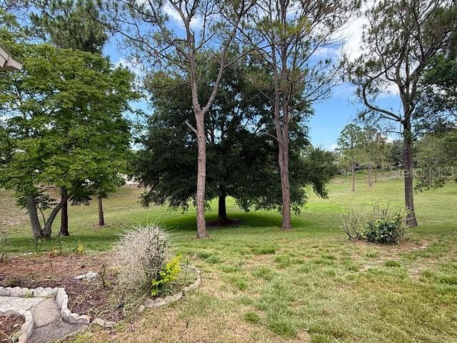 2232 SPRINGMEADOW DRIVE, SPRING HILL, FL 34606 — zdjęcie 3