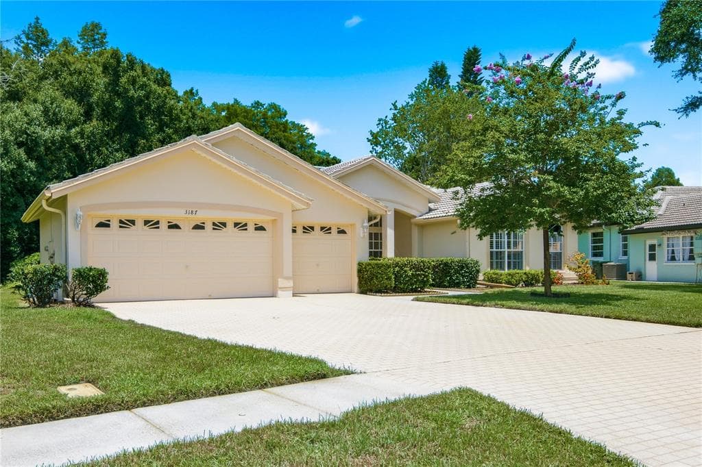 3187 STERLING STREET, TARPON SPRINGS, FL 34688 — zdjęcie 2