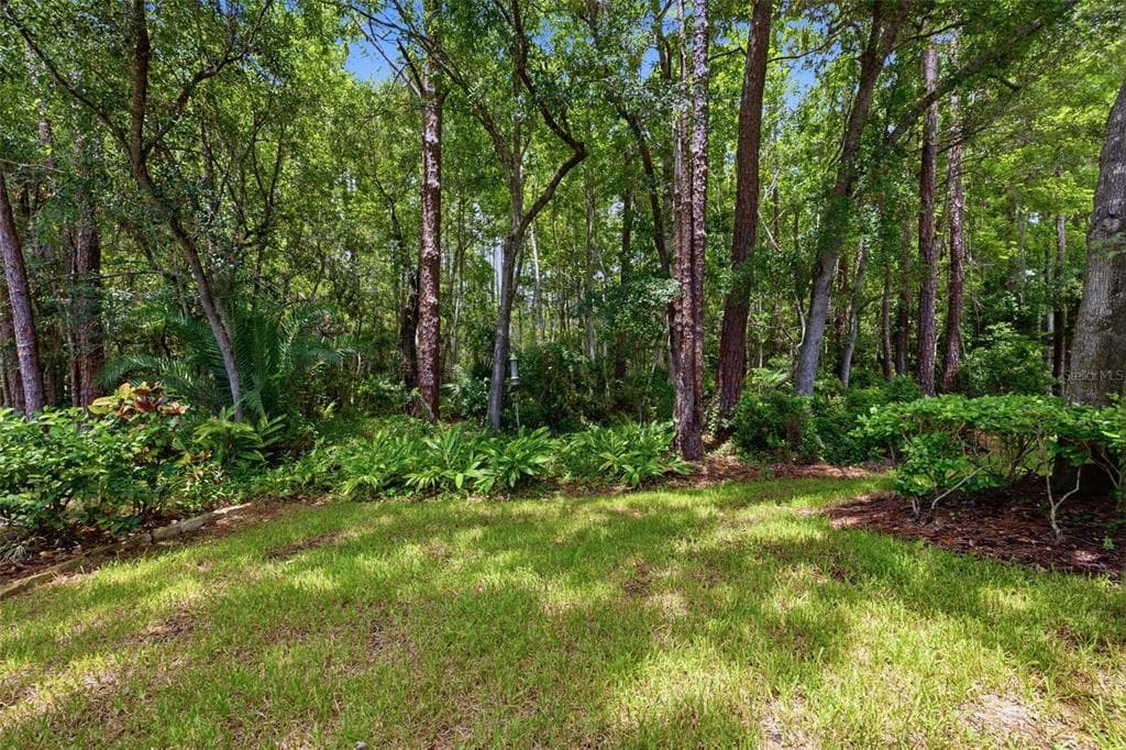 14613 MIRABELLE VISTA CIRCLE, TAMPA, FL 33626 — zdjęcie 2