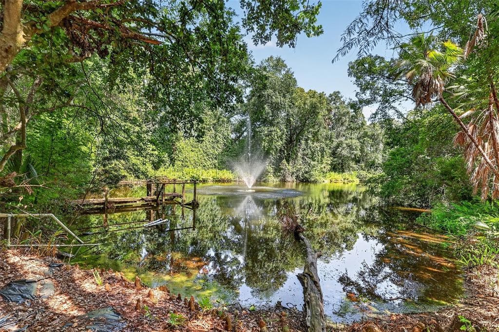 22740 COUNTY ROAD 44A, EUSTIS, FL 32736 — zdjęcie 3