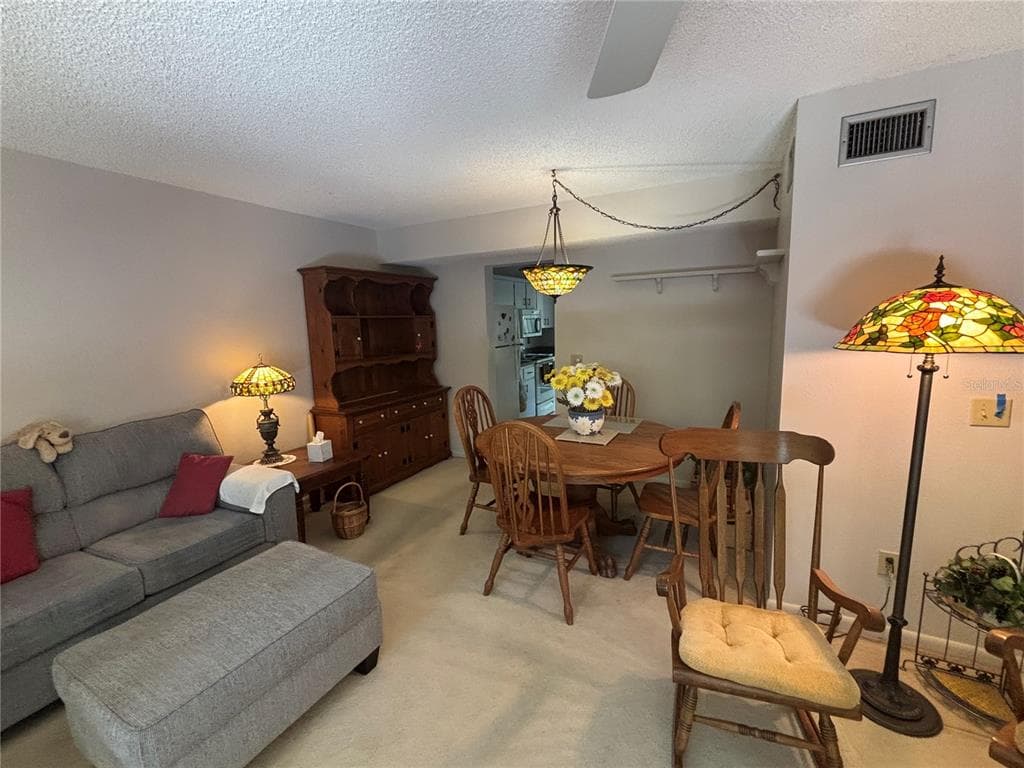 1515 BAYSHORE BOULEVARD # 26, DUNEDIN, FL 34698 — zdjęcie 5
