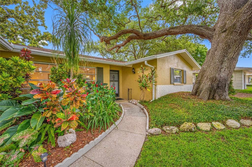 2036 FOREST DRIVE, CLEARWATER, FL 33763 — zdjęcie 2