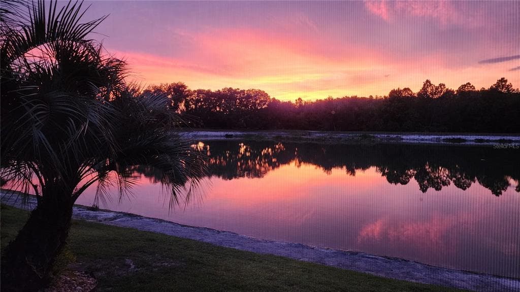 4907 POINTE O WOODS DRIVE, WESLEY CHAPEL, FL 33543 — zdjęcie 2