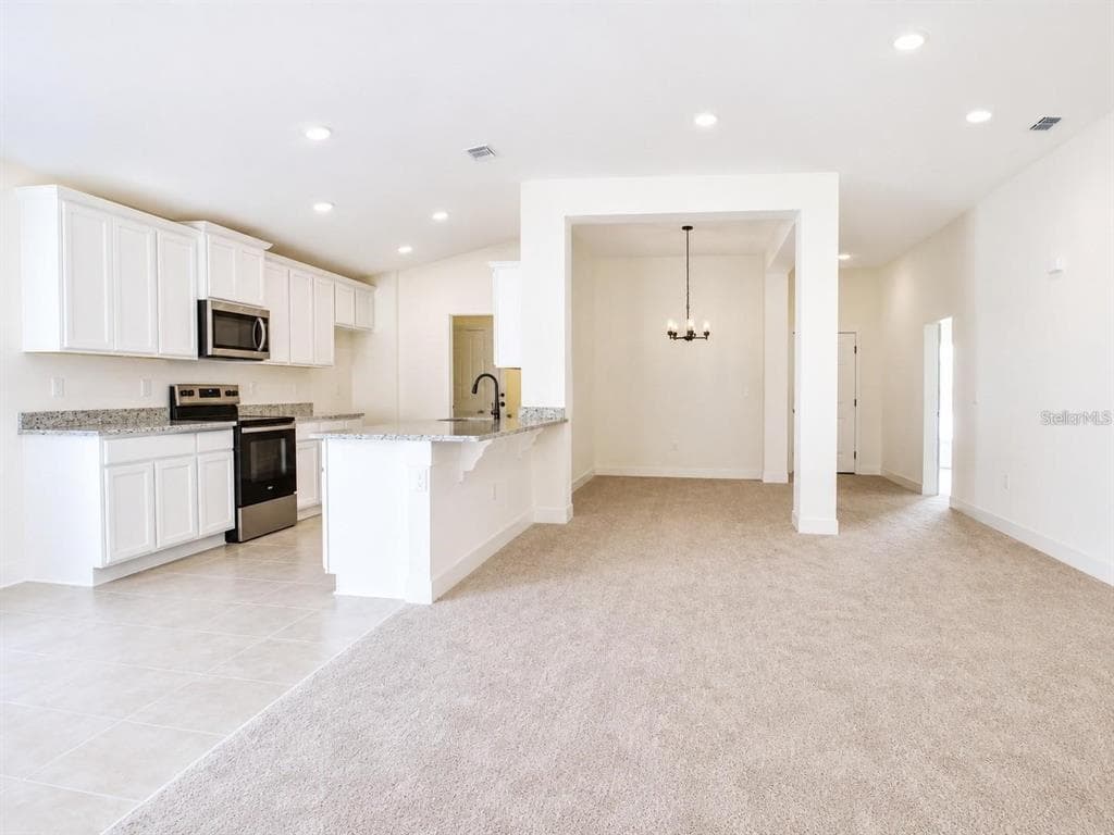 1671 ANN ROSE WAY, LEESBURG, FL 34748 — zdjęcie 2