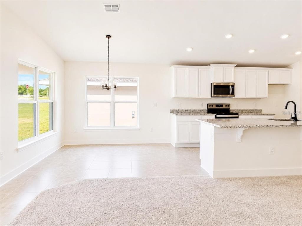 1671 ANN ROSE WAY, LEESBURG, FL 34748 — zdjęcie 3