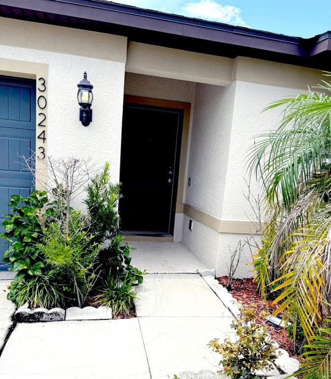 30243 MARQUETTE AVENUE, WESLEY CHAPEL, FL 33545 — zdjęcie 3