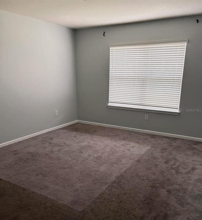 30243 MARQUETTE AVENUE, WESLEY CHAPEL, FL 33545 — zdjęcie 4