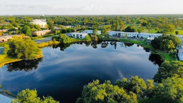 625 N KEENE ROAD # T5, CLEARWATER, FL 33755 — zdjęcie 3